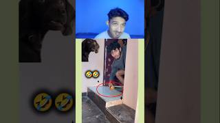 Try Not to Laugh Challenge 137🤣 funny shorts viral [upl. by Ajat]