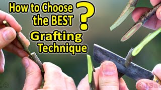 Best Grafting Techniques  WHICH Grafting Technique should I CHOOSE when grafting fruit trees [upl. by Australia336]