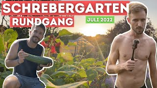 Anfänger Garten Vlog 61 Gartenrundgang im Juli alles explodiert  der perfekte Sommer 2022 [upl. by Haelem]