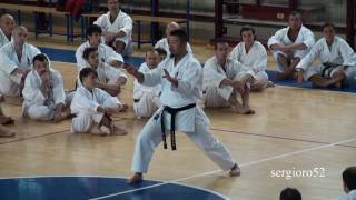 Stage NAITO SenseiKURIHARA Sensei2010part 3 of 6 HD [upl. by Tatiana]