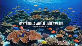 Favorite Friends Stream 40 Mysterious world under water [upl. by Onofredo]