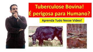 Tuberculose Bovina  Grave Doença Para a Pecuária e Para a Saúde Humana Entenda Nesse Vídeo [upl. by Maier]