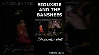 SIOUXSIE AND THE BANSHEES  THE SWEETEST CHILL Tribute video [upl. by Antonina]