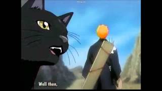 Bleach ending  9 [upl. by Neelyam]