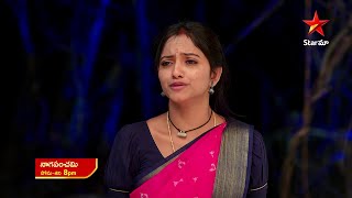 NagaPanchami  Promo  18th Jan 2024  Star Maa Serials  Mon Sat at 8 pm  Star Maa [upl. by Trixie903]