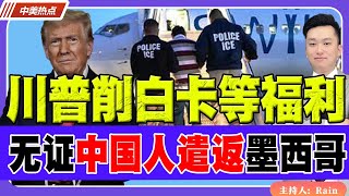 川普拟削白卡等福利！无证中国人直接遣返墨西哥！《中美热点》 第259期 Nov 20 2024 [upl. by Sears]