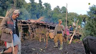 The Himalayan Cow Farm Goat Farm  Cowherd Real Of Life Go Back to Home 6 Month After Cowherds [upl. by Bellamy514]