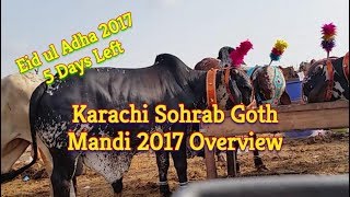 Cow Mandi 2017  Karachi Sohrab Goth Mandi 2017  Video 33 [upl. by Htebasyle]