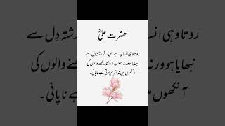 Rota wahe ansan hay quotes trending duet ❤❤ [upl. by Parnas]