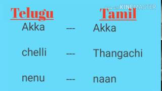 Learn Tamil through telugu part1  telugu latest [upl. by Taimi]