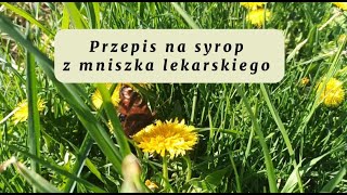 Jak zrobić syrop z kwiatów mniszka lekarskiego Przepis krok po kroku [upl. by Aeirdna]