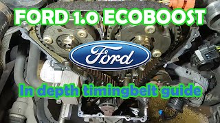 FORD 10 EcoBoost SFJA 2013 WET belt replacement and sump cleaning in DEPTH guide Belt in oil [upl. by Annwahsal]