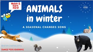 Animals in Winter Animal Adaptations Song [upl. by Thevenot]