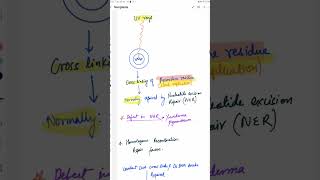 Neoplasia ll Nucleotide excision repair pathology nextfmge nextexam inicet neoplasia mbbs [upl. by Akayas]