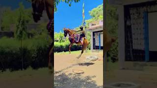 Horse power  Gujarat Horse videos 🐴📸😀🐎 horselover horse horseriding [upl. by Raynor]