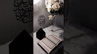 islamic video quran pic quran picture islamicvideo islamicshorts islamicstatus [upl. by Anoiuq]