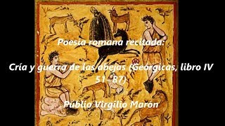 Poesía romana recitada Geórgicas de Virgilio libro IV 5187 cría y guerra de las abejas [upl. by Gnilhsa55]