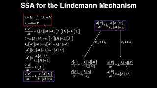 Kinetics Lindemann Mechanism Derivation [upl. by Ybor]