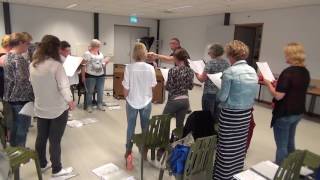 2016 06 14 Zanggroep zoekt gitarist en pianist [upl. by Namyac]