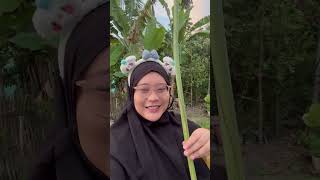 VIRAL DAUN PISANG GORENG ALA THAILAND [upl. by Norrabal]