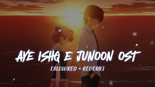 Aye Ishq e Junoon OST  Slowed and Reverb  Ushna Shah  Shahryar  ARY DIGITAL [upl. by Ttenrag]