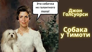 Собака у Тимоти  Джон Голсуорси  Рассказ  Аудиокнига [upl. by Annayt]