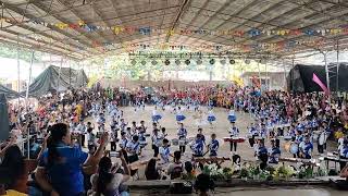 DRUM AND LYRE PRESENTATION OF LINAO CENTRAL ELEMENTARY SCHOOL [upl. by Minnie243]