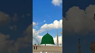 Mere Aaka ko dekhoge jamana bhul jaaoge ♥️💚 trending islamic statusshorts subscribe viralvideo [upl. by Chae]