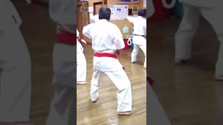 Headlock takedown in Karate karate martialarts kata [upl. by Dimphia]