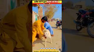 Dog churane lag Gaye 🤣 Kiya kar skate hai woodworking home gadget skill shorts [upl. by Lakin]