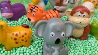 Amazing Zoo Animal Toys for Kids [upl. by Blader190]