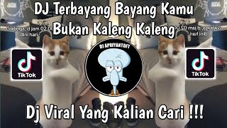 DJ TERBAYANG BAYANG KAMU TREND KUCING JOGET  DJ BUKAN KALENG KALENG BY ARYA FVNKY VIRAL TIKTOK 2024 [upl. by Onirotciv603]