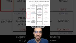 Learn about lysosomal storage diseases with this 3x3 grid [upl. by Aitel238]