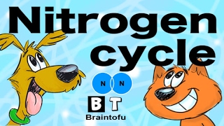 NITROGEN CYCLE MADE EASY  BIOLOGY FOR KIDS  FUN SCIENCE CARTOON [upl. by Rosol670]