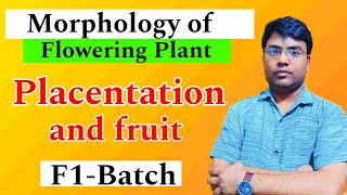 Morphology of flowering plant Placentation and fruit Neet Biology  Biology by Dr satish sir [upl. by Eirojam110]