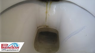 Sanitärpolitur amp Badreiniger von PASTACLEAN  für Toilette Dusche Waschbecken Armaturen [upl. by Eiryt]