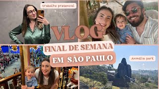 VLOG  Trabalho presencial em São Paulo tour pelo Airbnb e passeio no Animalia Park [upl. by Yssirhc]