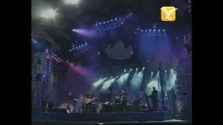 Creedence Clearwater Revisited Have You Ever Seen The Rain Festival de Viña 1999 [upl. by Haneekas531]