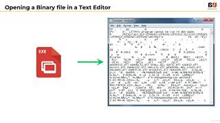 008 Challenges with Binary Files  Learn the ABC of Malware Analysis [upl. by Ihcehcu788]