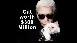 300 Million Worth Cat  Choupette  Karl Lagerfeld [upl. by Sadira]