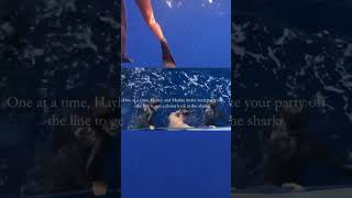 Shark Diving in 60 Seconds 🦈🌊 shark diving divewithsharks hawaii ecotourism a [upl. by Eekaz]