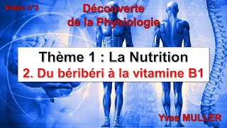 Vidéo 3  Du béribéri à la vitamine B1 [upl. by Thorbert]