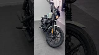 2019 Harley Davidson Iron 1200 [upl. by Relyt300]