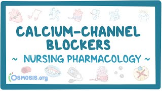 Calciumchannel blockers Nursing Pharmacology [upl. by Dorren]