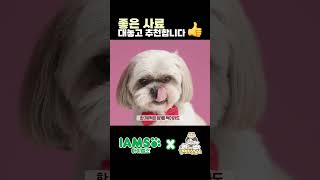 좋은 강아지 사료 추천합니다 feat IAMS [upl. by Reyem389]