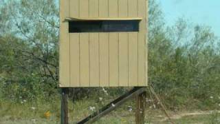 Grande Hunts 8 South Texas Deer Lease Work Feeding amp Scouting October 2010 [upl. by Aurlie]