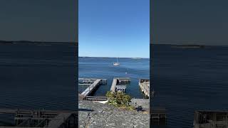 Beautiful summer in sandhamn stockholm sweden scandinavia europetravel summerineurope beach [upl. by Cruz]