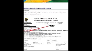 Onde Está Localizado o CNAE no CNPJ  Como Descobrir CNAE MEI [upl. by Wanyen]