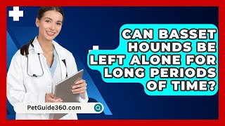 Can Basset Hounds Be Left Alone for Long Periods of Time  PetGuide360com [upl. by Trebmer]