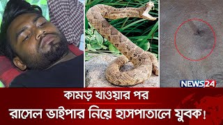 কামড় খাওয়ার পর রাসেল ভাইপার নিয়ে হাসপাতালে যুবক  Russells Viper  Snake  News24 [upl. by Htide]